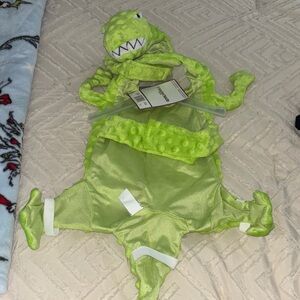 Green Dinosaur Dog Costume
